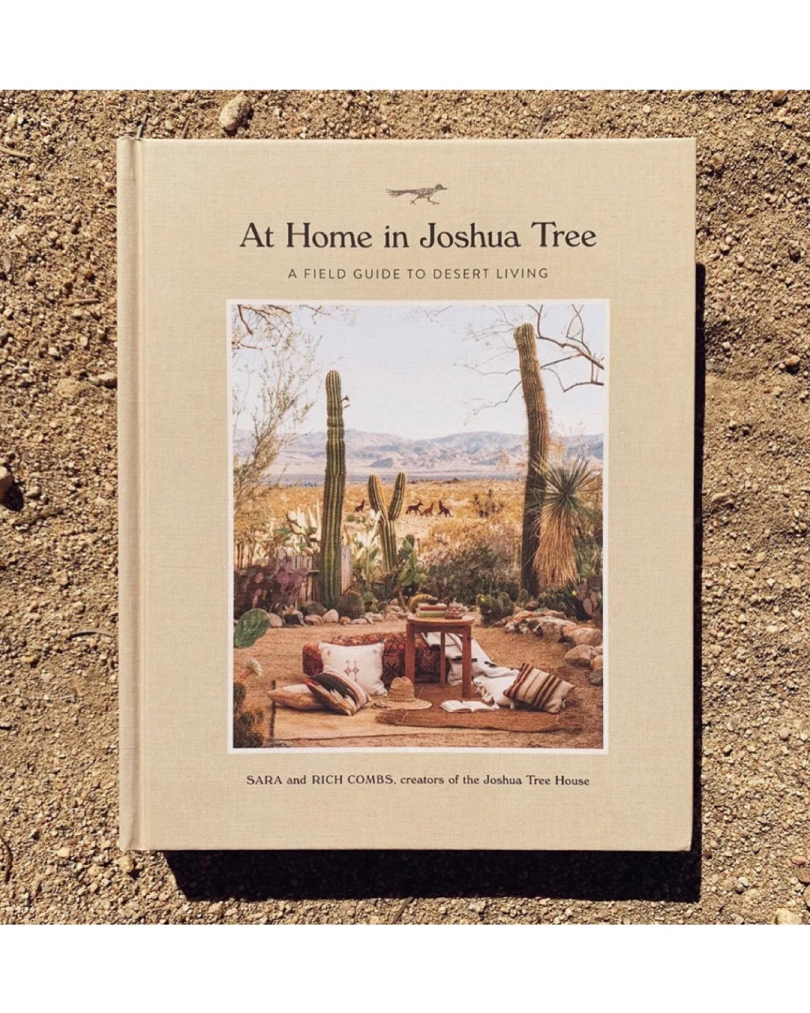 At Home In Joshua Tree